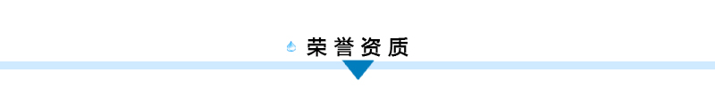 榮譽資質標題