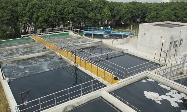 生物填料