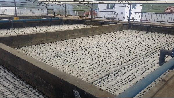 青海某市政污水處理廠提標(biāo)改造工程脫氮填料案例