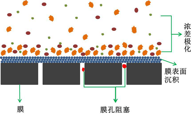 mbr膜污染